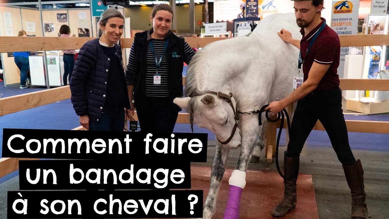 Comment faire un bandage à son cheval ? 🐴