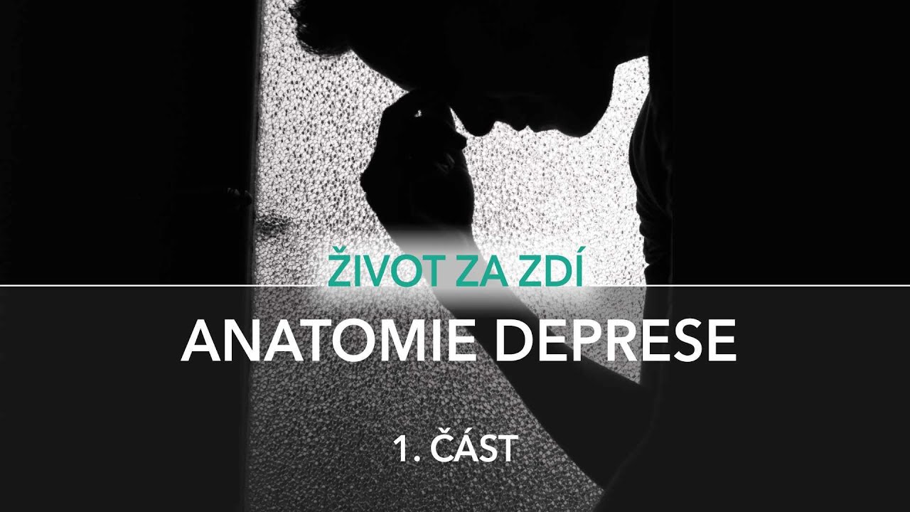 ANATOMIE DEPRESE (1. ČÁST)