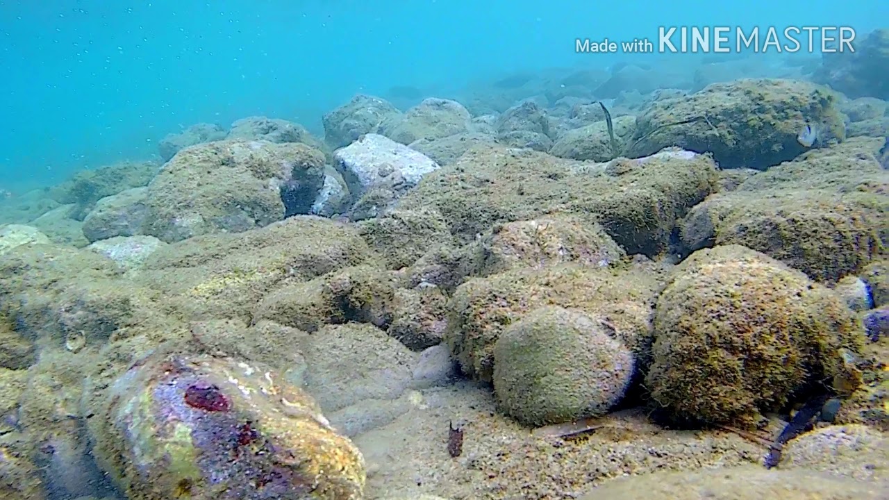Under the sea Nea Kallikratia Greece....