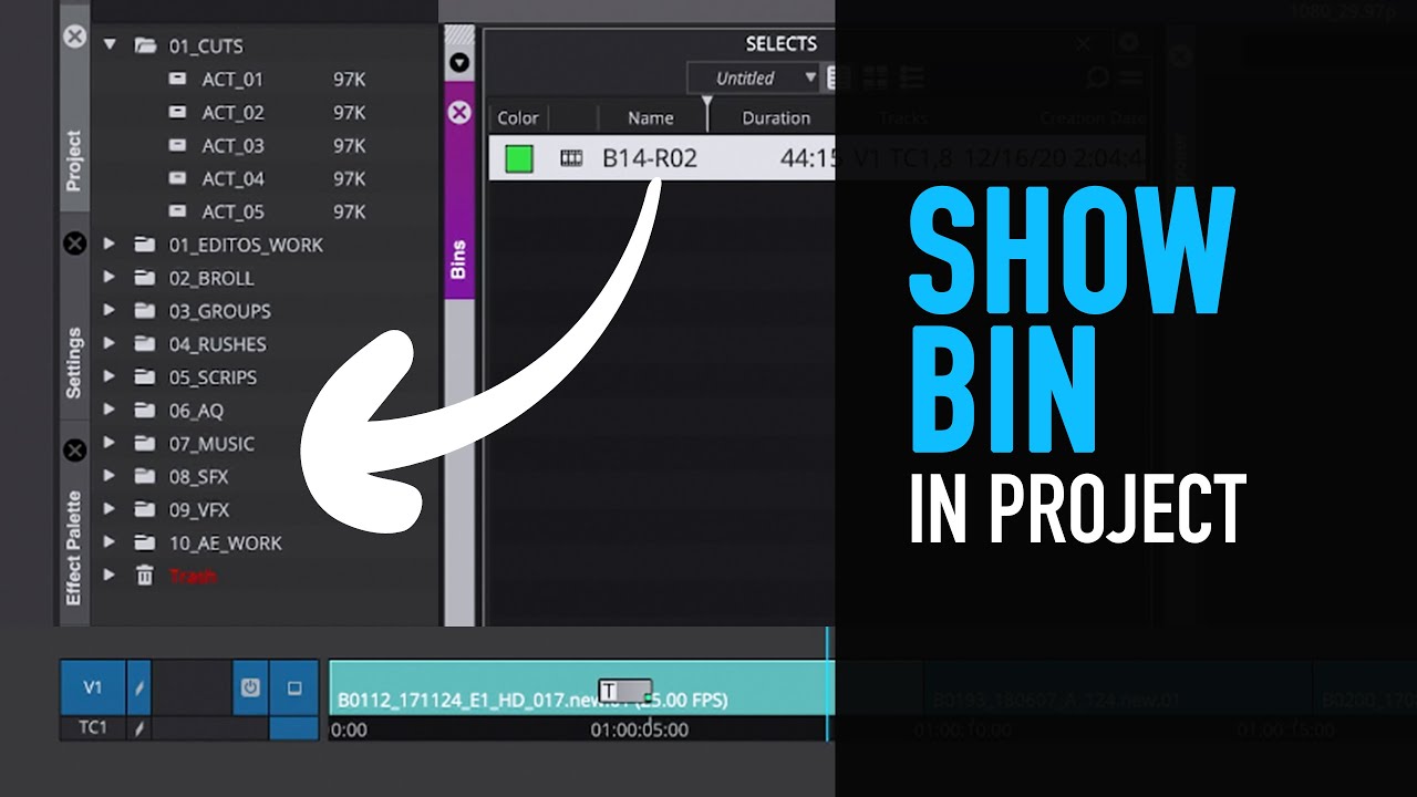What's New: Show Bin In Project - Avid Media Composer Tutorial