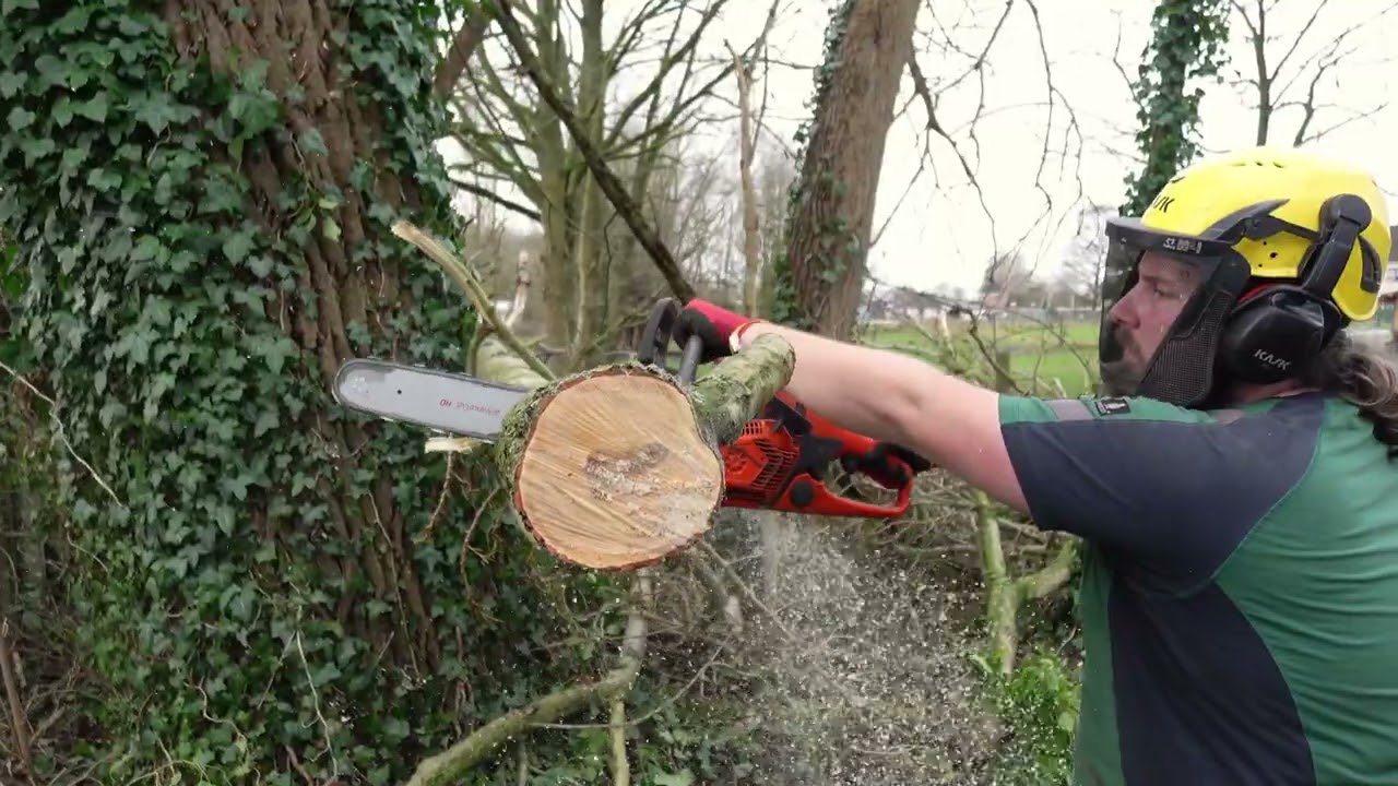 Maatwerkbedrijf BWB: Groendienst - en onderhoud