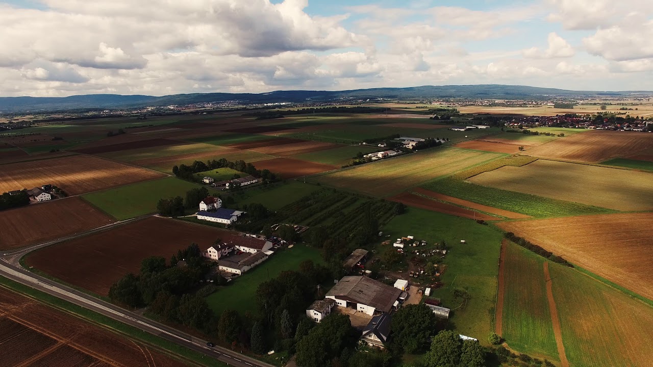 DJI Phantom 3 Professional - Karben (Hessen)
