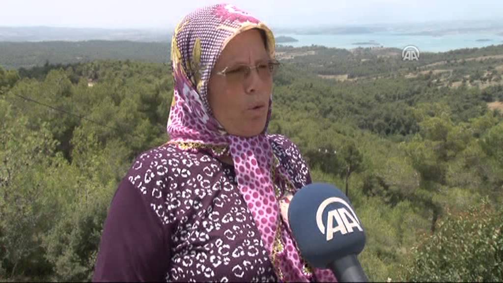 Anadolu Ajansı - 29 yıldır orman gözetleyen aile