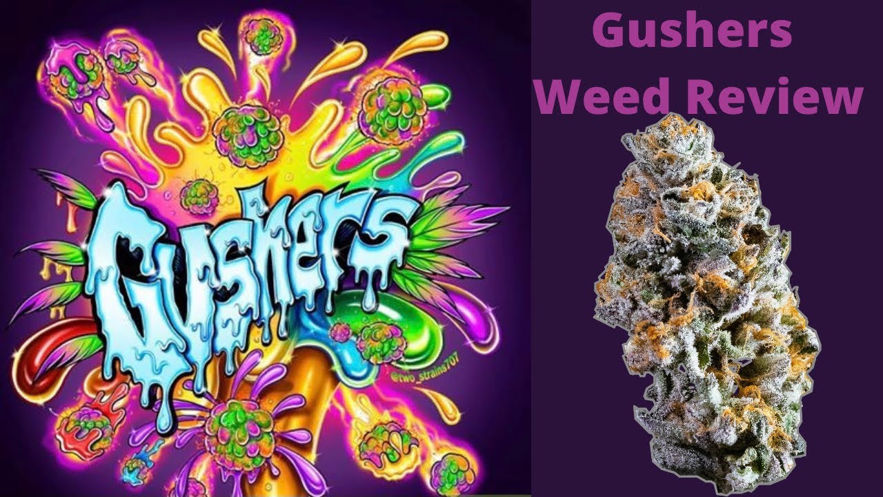 Exotic Weed Review&rdquo; Gushers&rdquo;|Strain Review|Ep.15