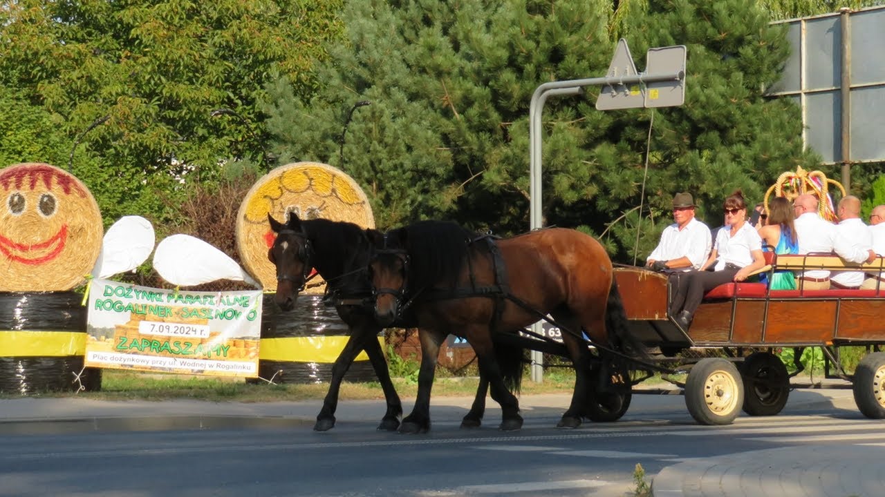 Dożynki`2024  Rogalinek - Sasinowo