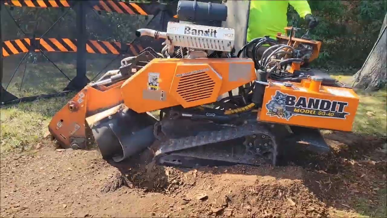How to Get Rid of a Stump - Grinding Richmond Virginia 