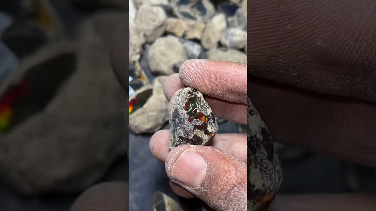 Stayish black opal