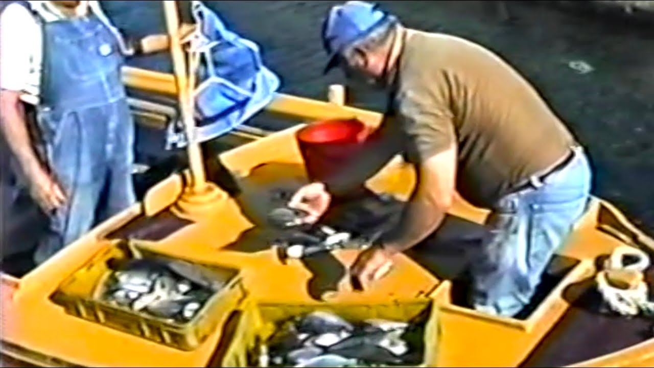 Veli Rat 1989. - Na rivi i pod stabl&iacute;ma