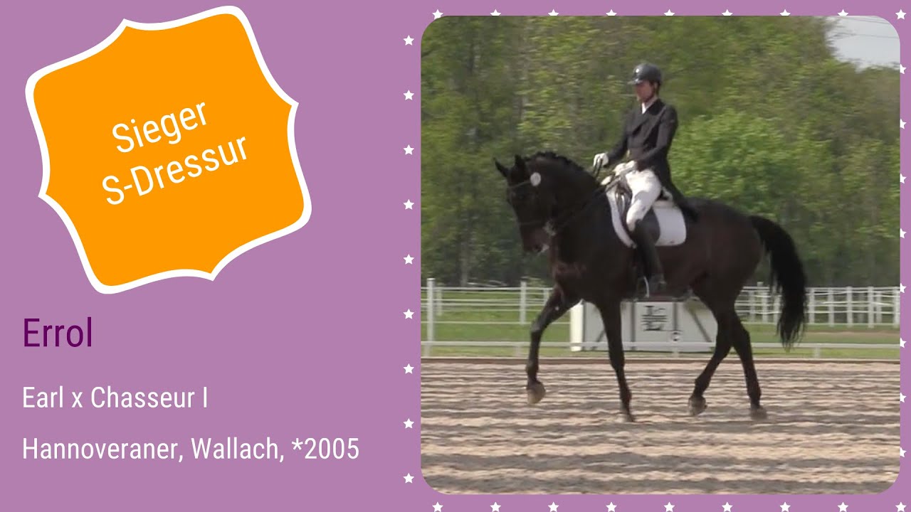 🌟 rimondo Ranking 2021🌟  Sieger S-Dressur (Deutschland) 🏆