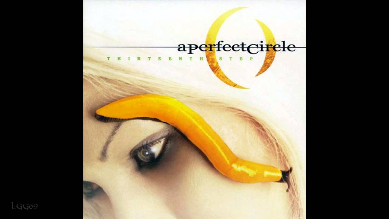 A Perfect Circle - Pet