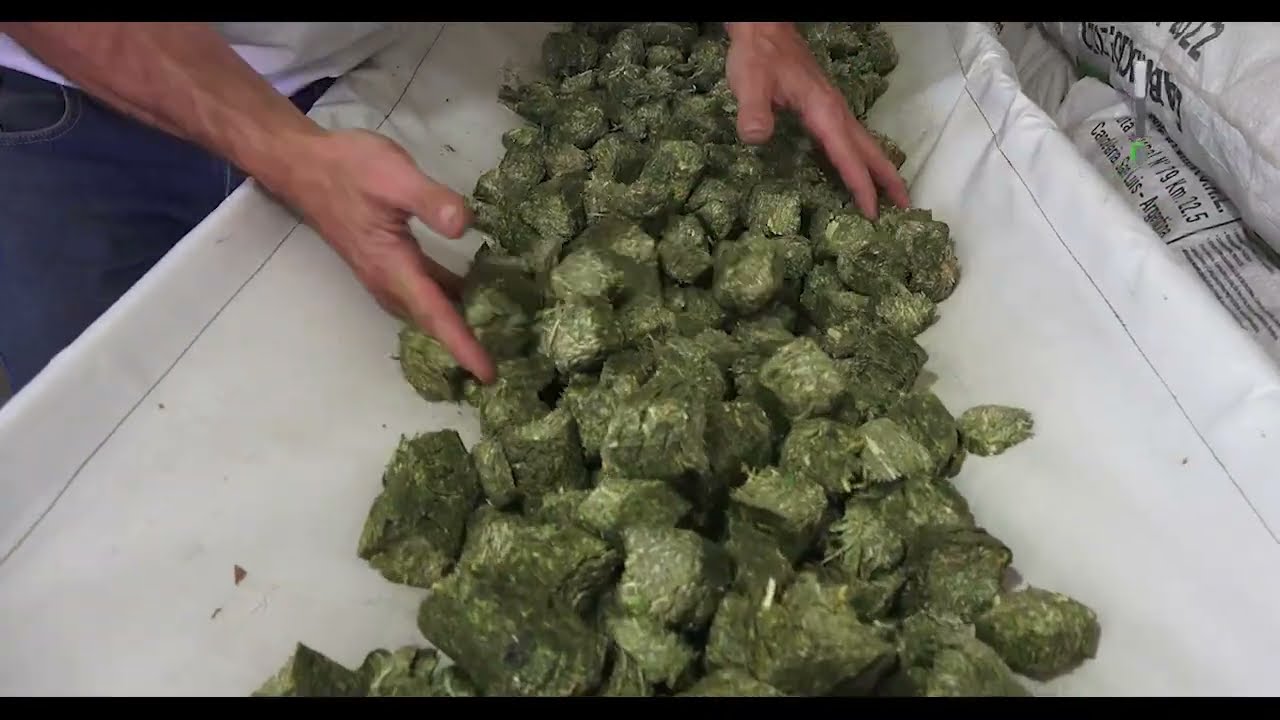 Pellets y Cubos de Alfalfa ALFAVITA