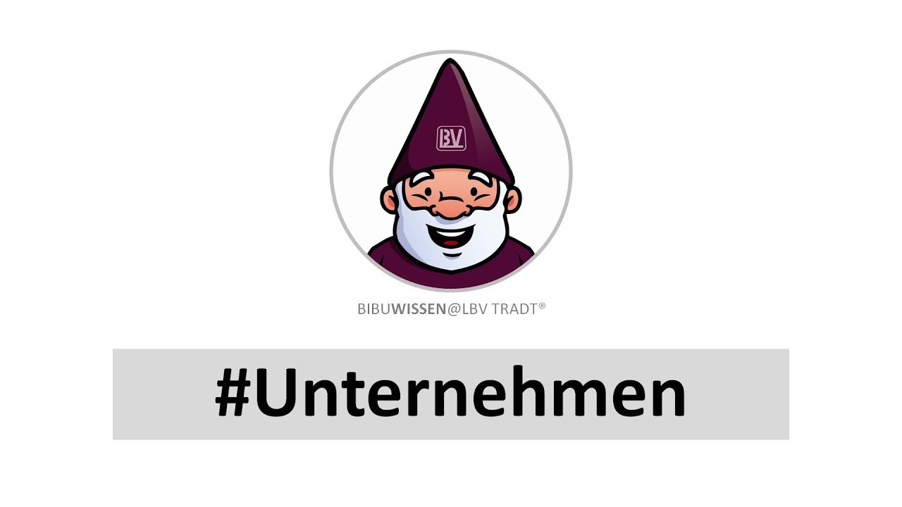 Bilanzbuchhalter Unternehmen M&auml;rkte Staat G&uuml;ter Geld Information BiBuWissen LBV Tradt [BB K01 T00]