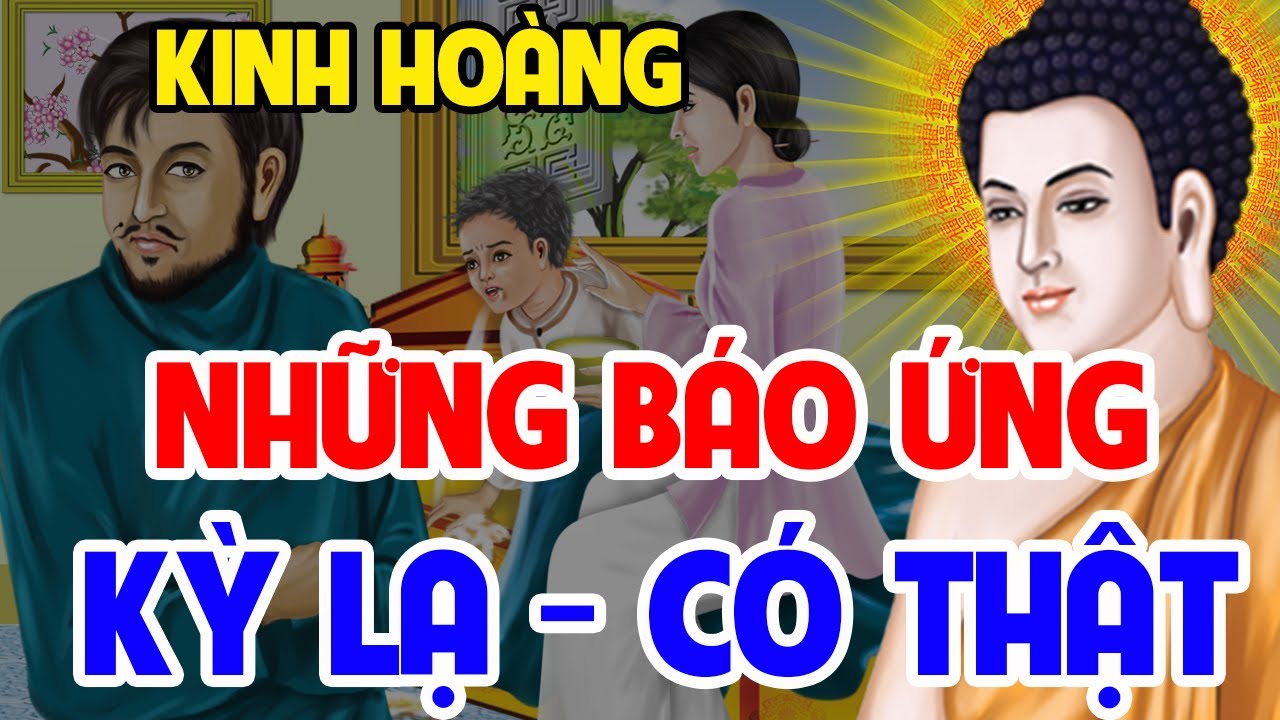 18 Chuyện Nhân Quả Phật Giáo, NHỮNG BÁO ỨNG KỲ LẠ - Báo Ứng 3 Đời Có Thật | Kể Chuyện Đêm Khuya