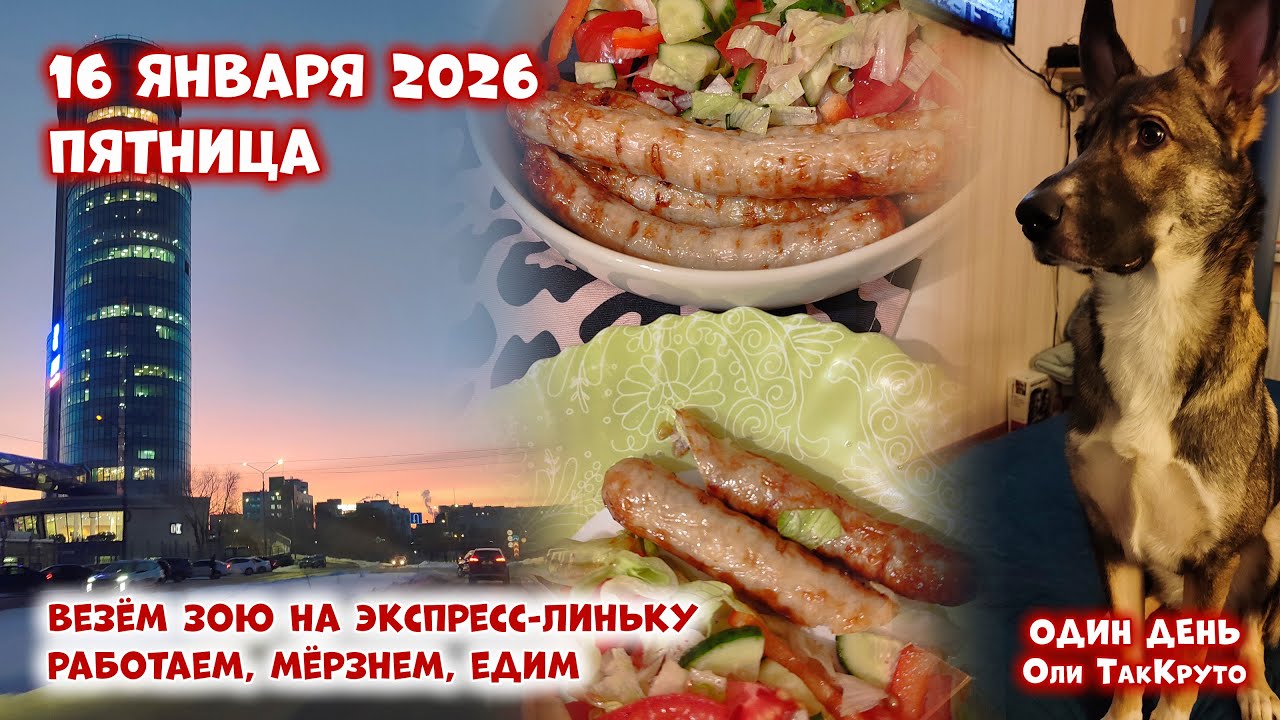 Возили Зою на груминг, работали, мёрзли, много ездили. 16 января 2026, день с Олей ТакКруто