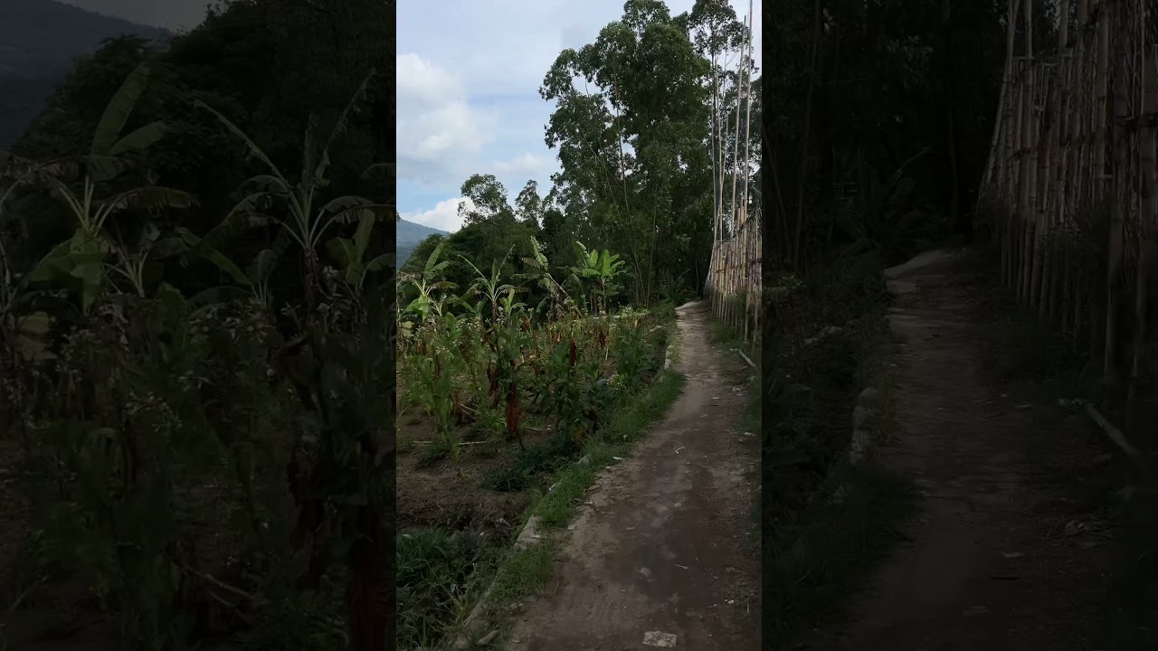 Keindahan gunung cikuray 