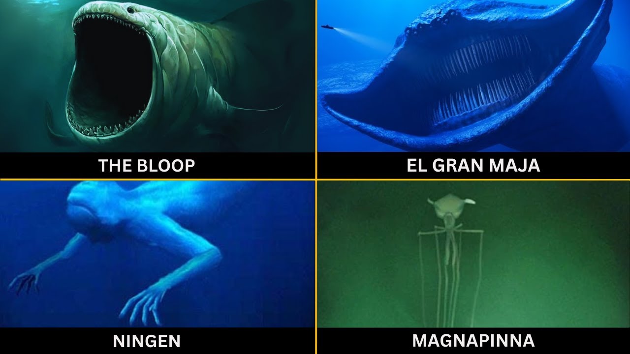 The Most Scariest Sea Monsters Ever Reported | Ningen | The Bloop | Magnapinna | El Gran Maja