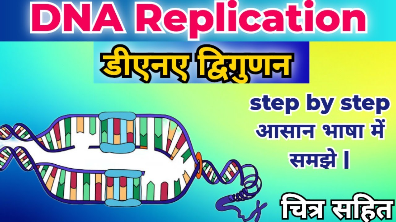 DNA Replication in Hindi | DNA Replication Step by Step in Hindi | द्विगुणन की पूरी प्रक्रिया |