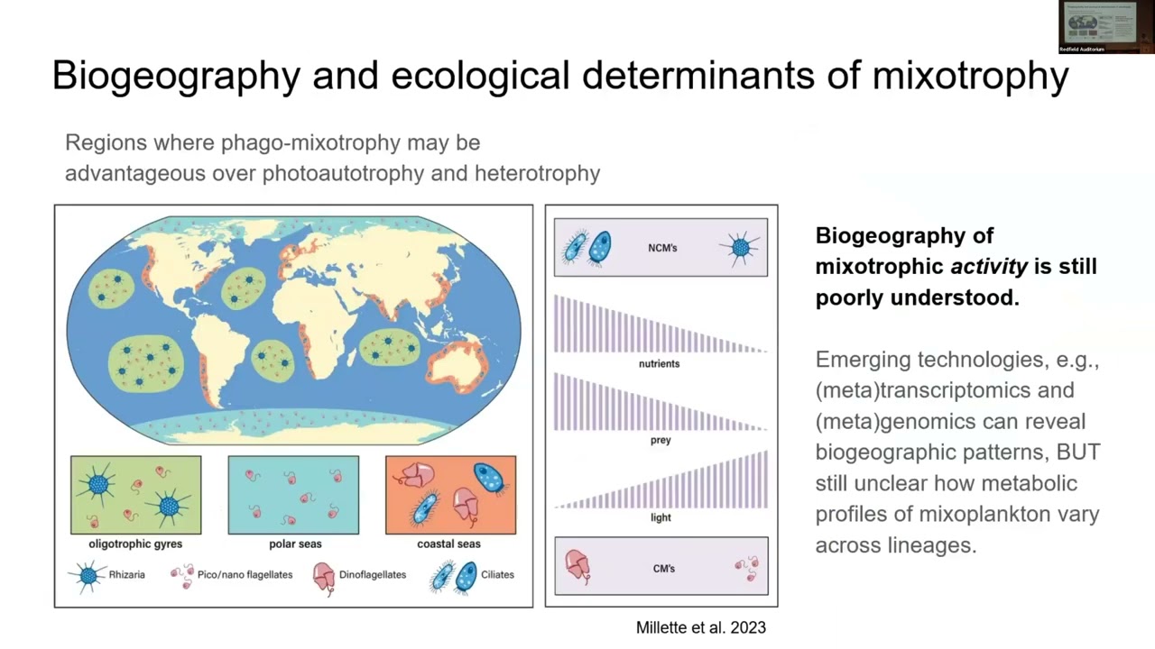 Mixotrophs & Mixotrophy Working Group Update (Jessica Luo, NOAA/GFDL)  - OCB2023