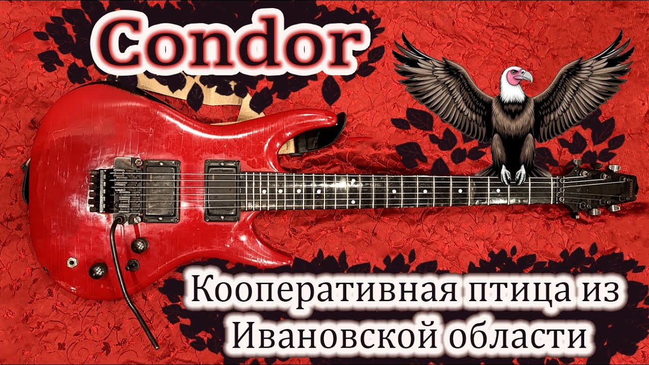 Их было всего 30 штук: Обзор уникальной гитары Condor. Редчайшая птица из Шуи.
