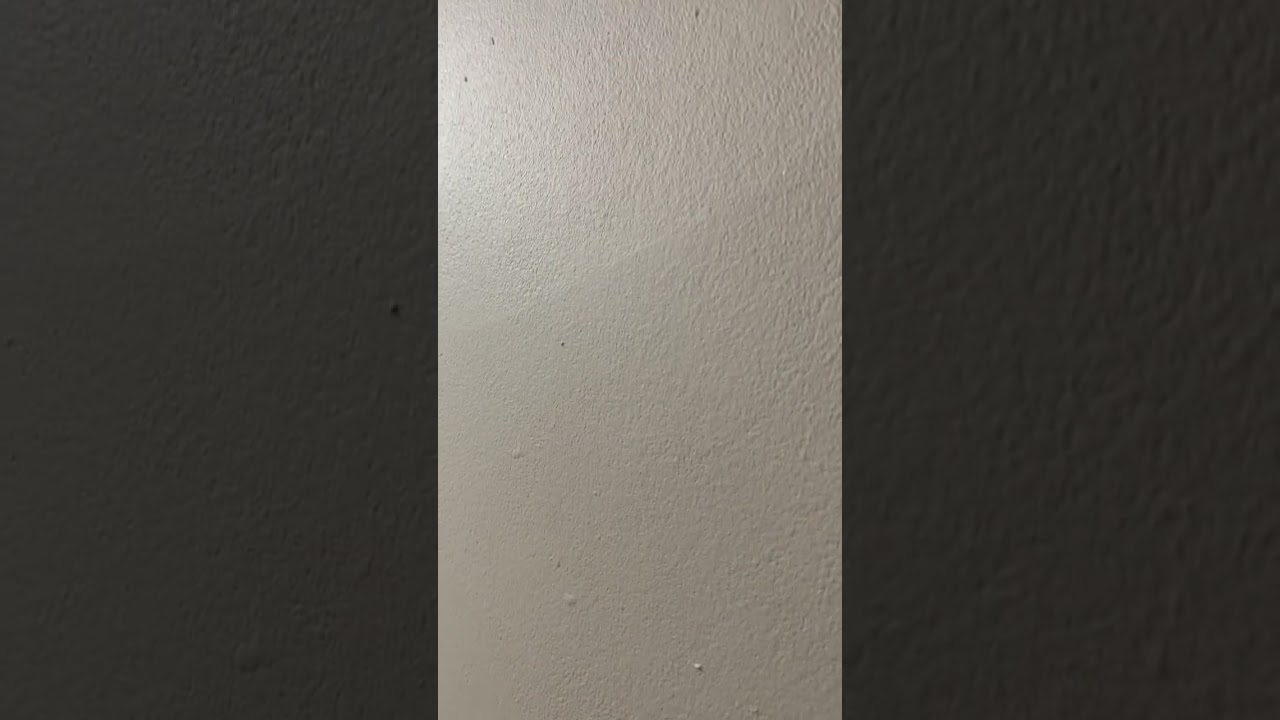 11 October 2025