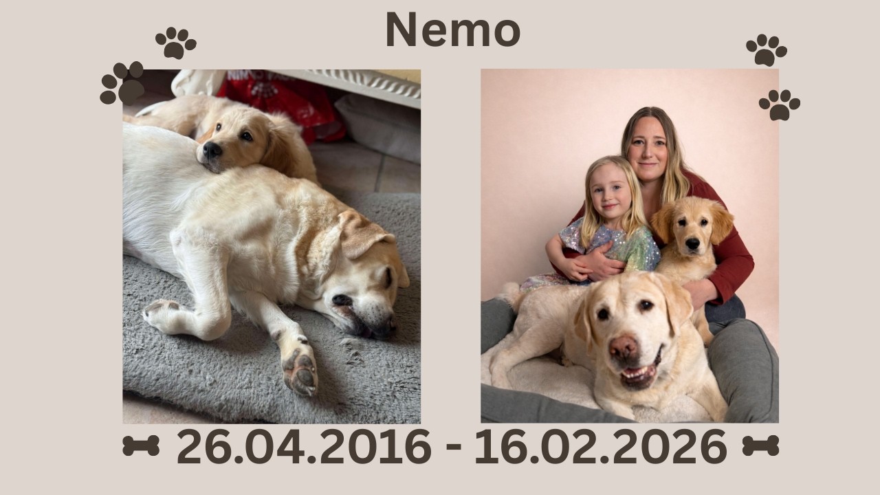 Farvel Nemo