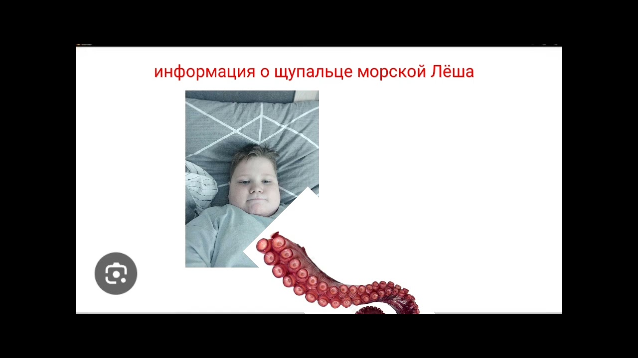 Информация о щупальце морской Лёша