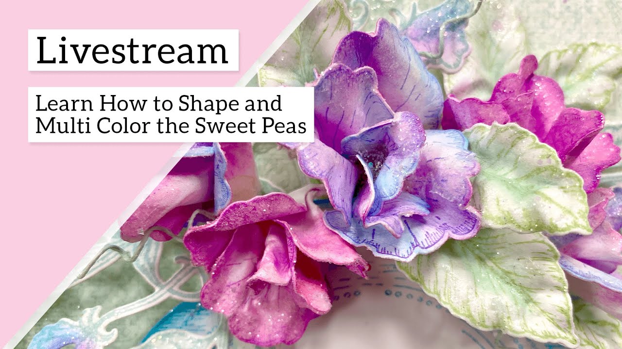 Learn How to Shape and Multi Color the Sweet Peas