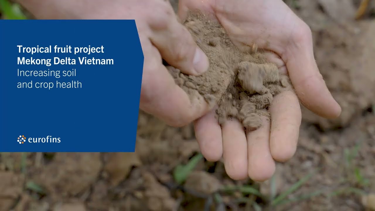 Tropcial Fruit Project: Increasing soil and crop health | Eurofins Agro & Eurofins Sac Ky Hai Dang