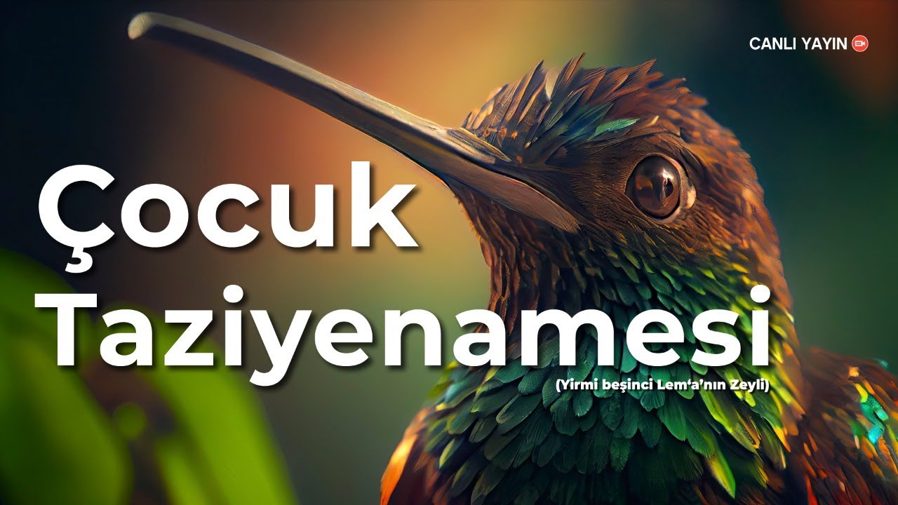 25 Lem'a'nın Zeyli | Çocuk Taziyenâmesi