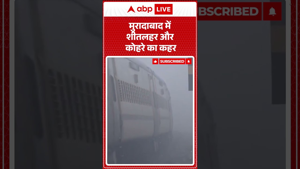Moradabad में शीतलहर और कोहरे का कहर! |ABPLIVE