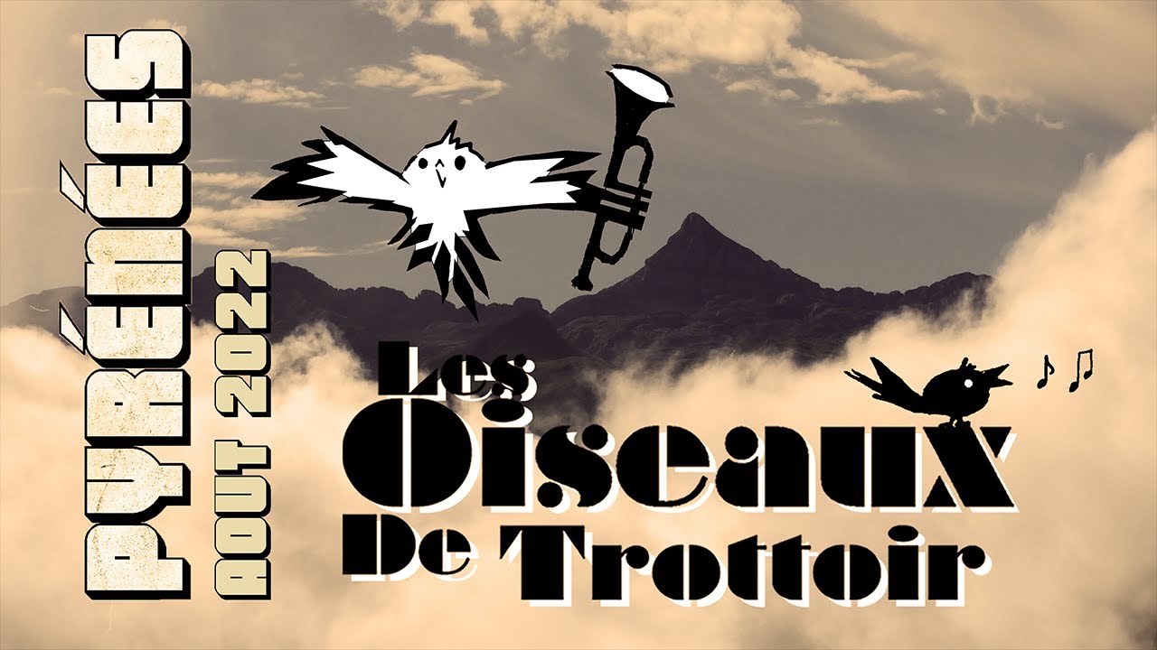 Les Oiseaux de trottoir - Maigrir- Carte Postale de Tournée Pyrénéenne