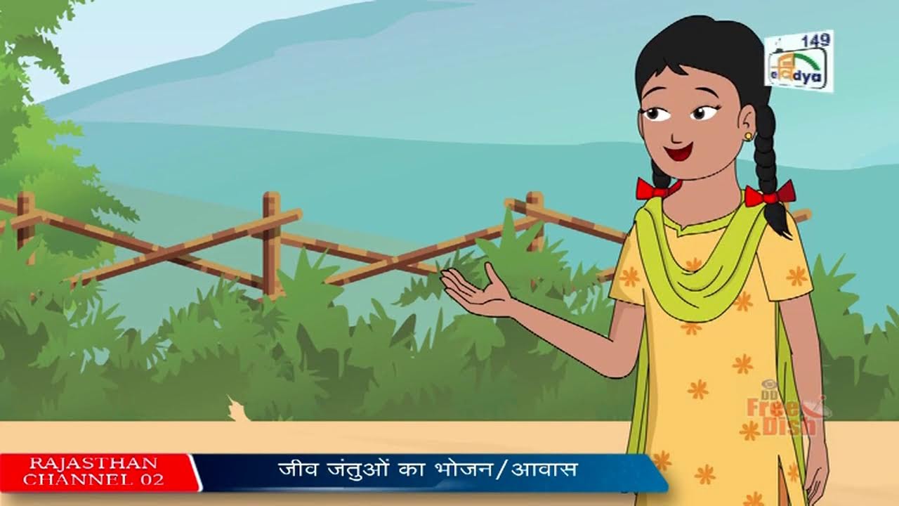 PM eVIDYA RJ149 Live Stream