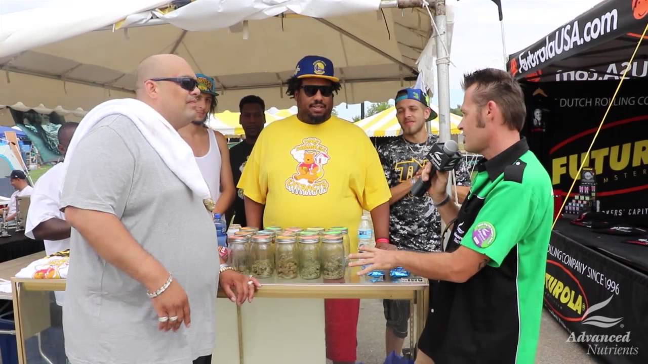 2015 HIGH TIMES Michigan Medical Cannabis Cup - TNT MMMP