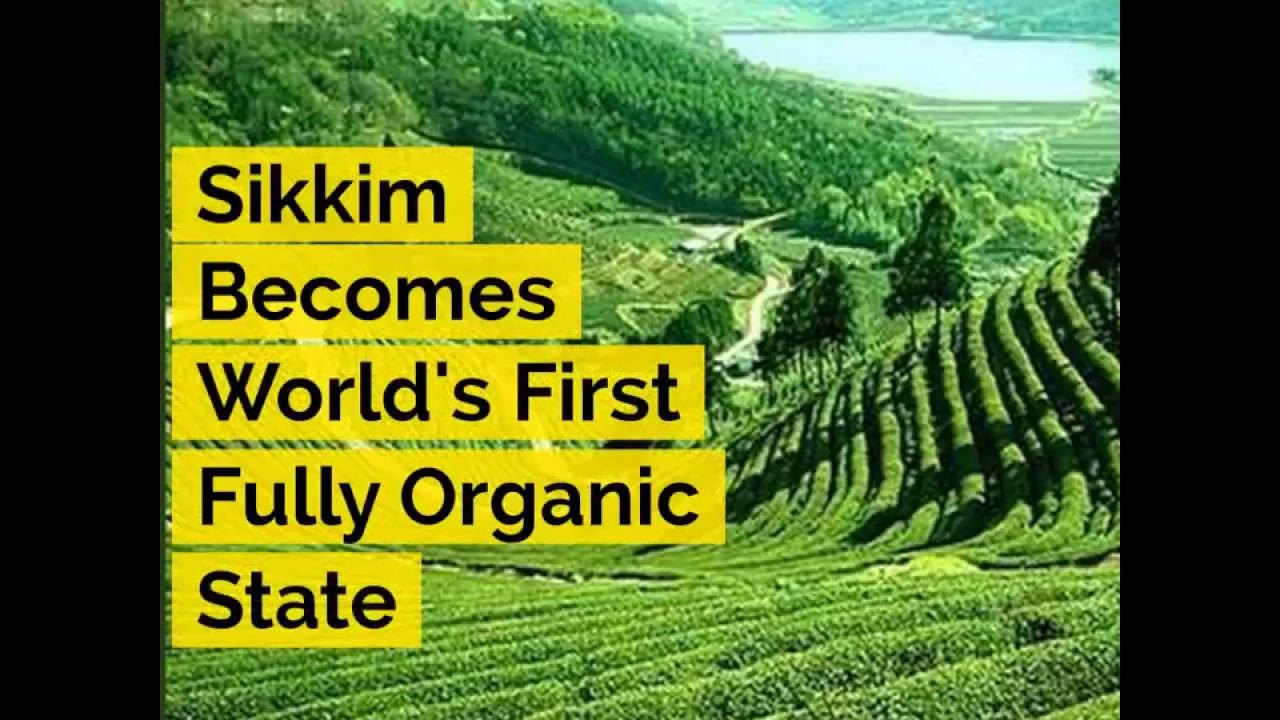 Sikkim Becomes World's First Fully Organic State | ABP News