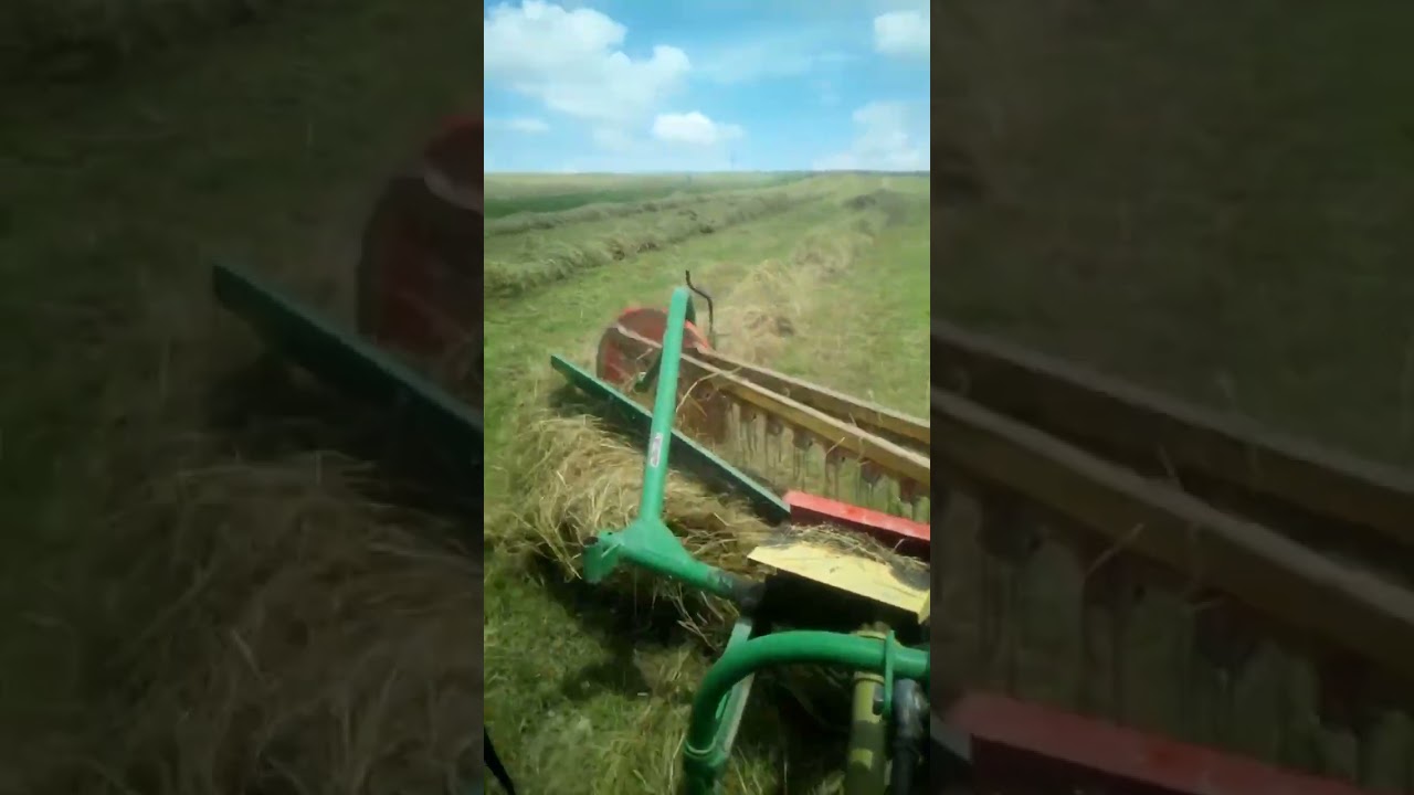 Massey Ferguson 235 plus zgrabiarka grzebieniowa. Zgrabianie zielonek.