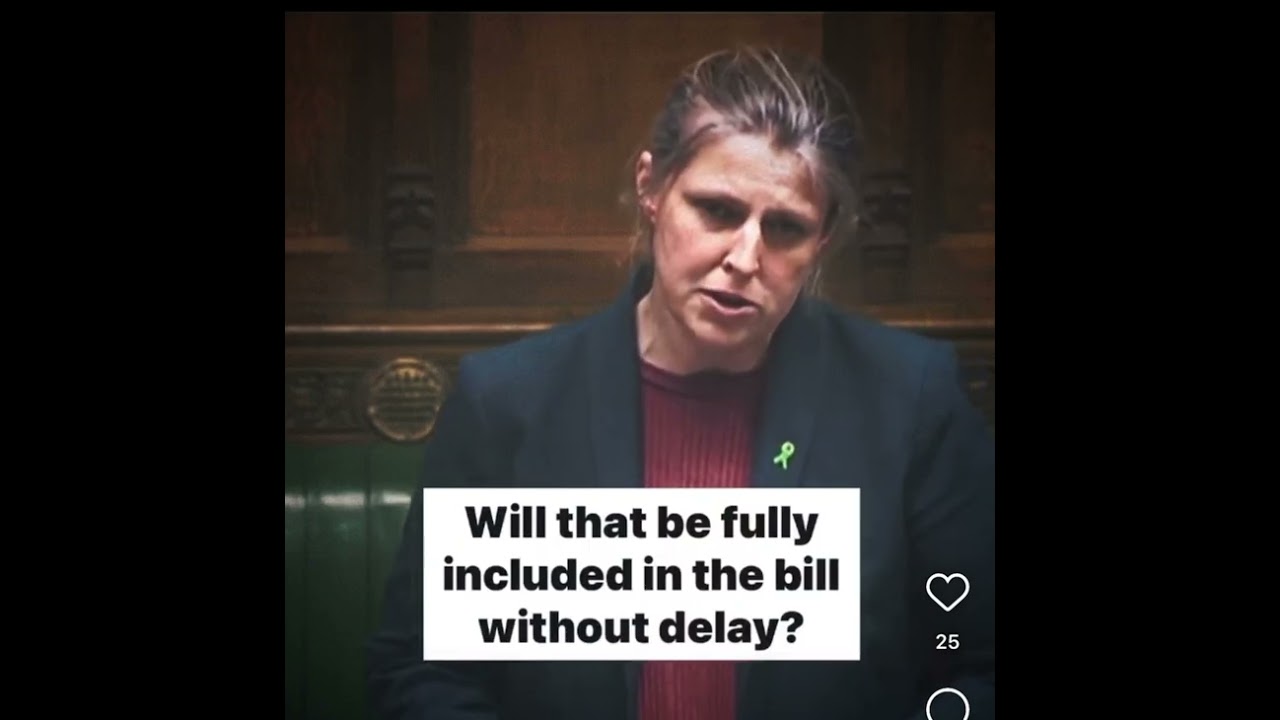Declan&rsquo;s Law - York MP Rachael Maskell raising a question about Declan in the Houses of Parliament