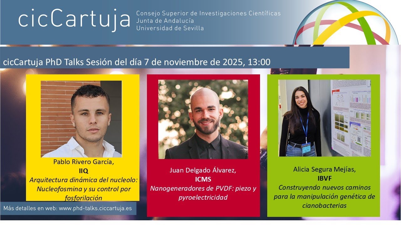 cicCartuja PhD Talks Sesión del día 7 de noviembre de 2025