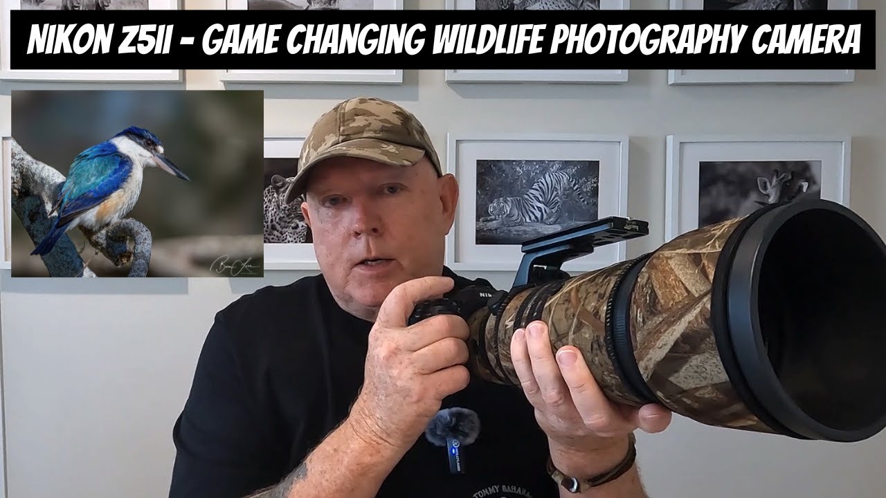 Nikon Z5ii - Game Changing Wildlife Photography Camera