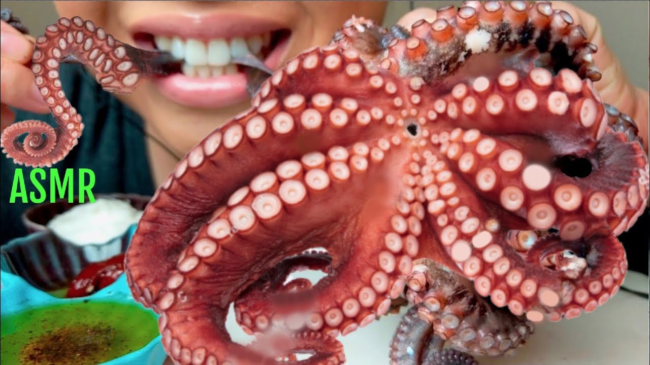 *SAVAGE* ASMR 🐙GIANT OCTOPUS + Garlic Mayo + Sesame Oil + 고추장  *No Talking* suellasmr