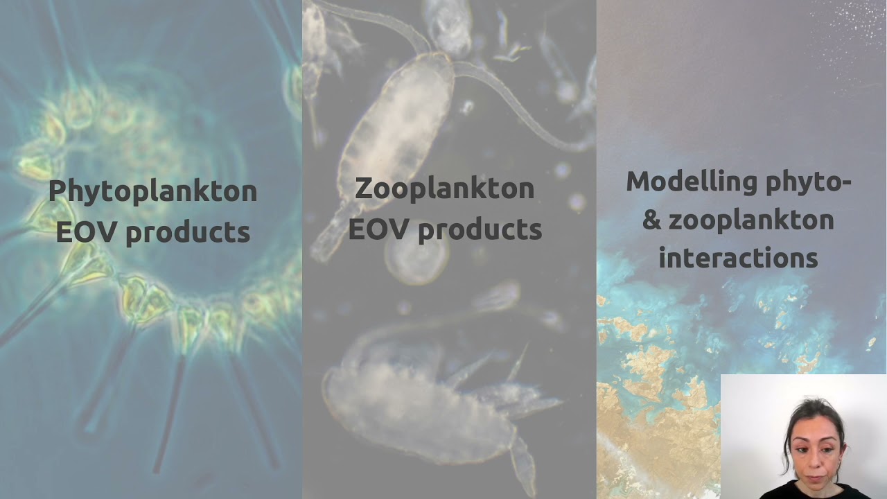 A machine learning approach to derive plankton biomass and diversity products from the Global Ocean.