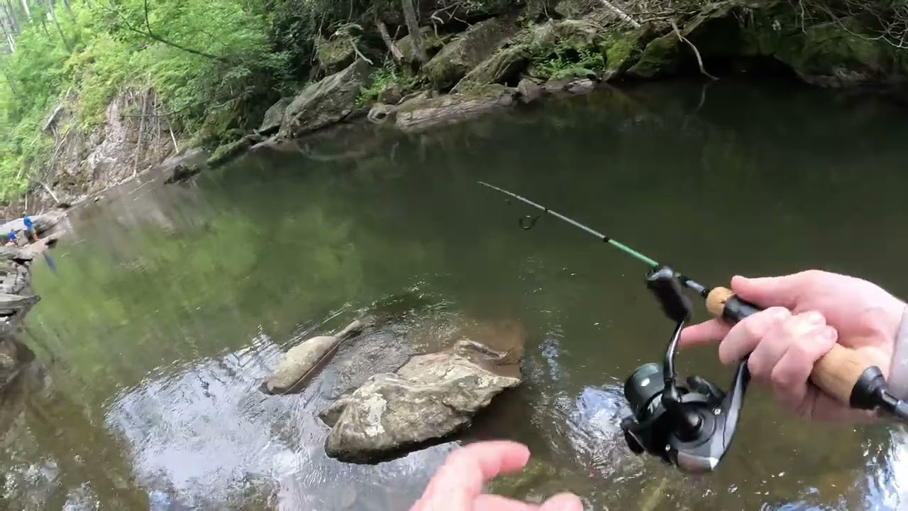 Trout Fishing in North Georgia | Tallulah River