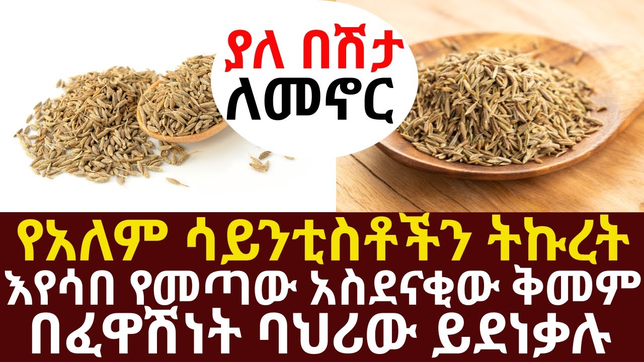 የአለም ሳይንቲስቶችን ትኩረት እየሳበ የመጣው አስደናቂው ቅመም በፈዋሽነት ባህሪው ይደነቃሉ | #drhabeshainfo | #legcramp #kneepain