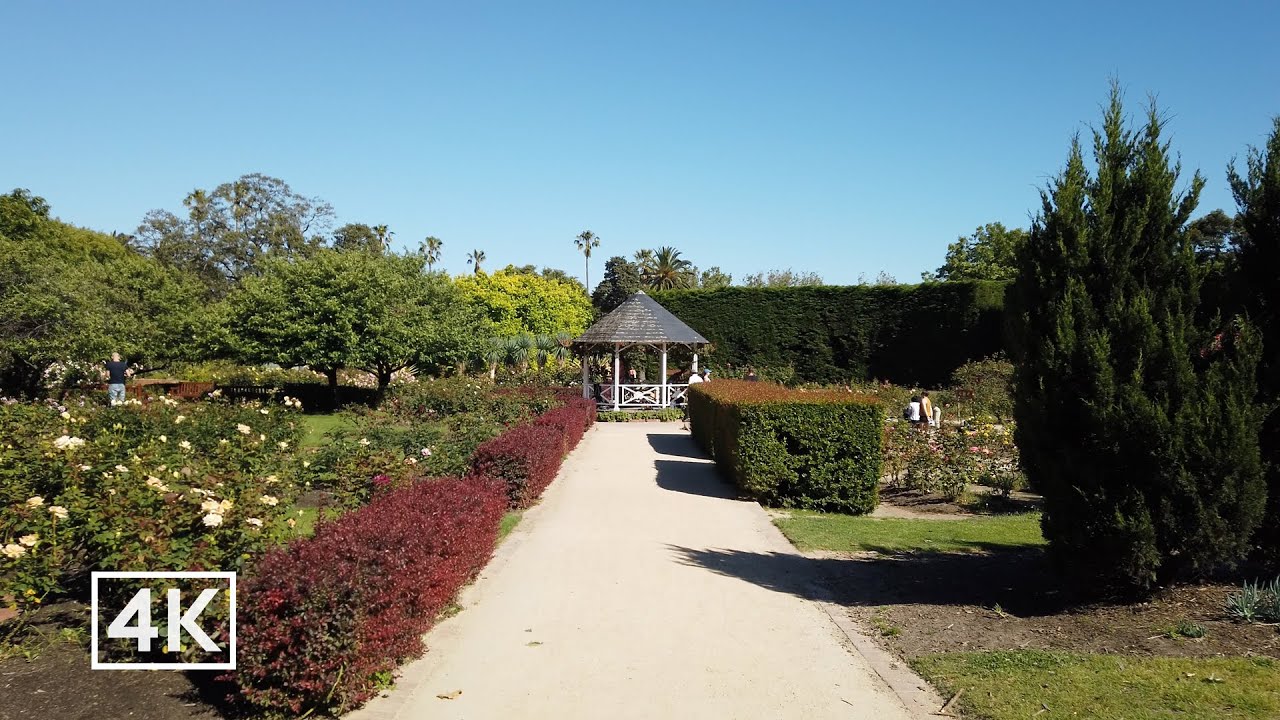 Melbourne 4k - Walking in St Kilda's Botanical Gardens & Leafy Elwood streets