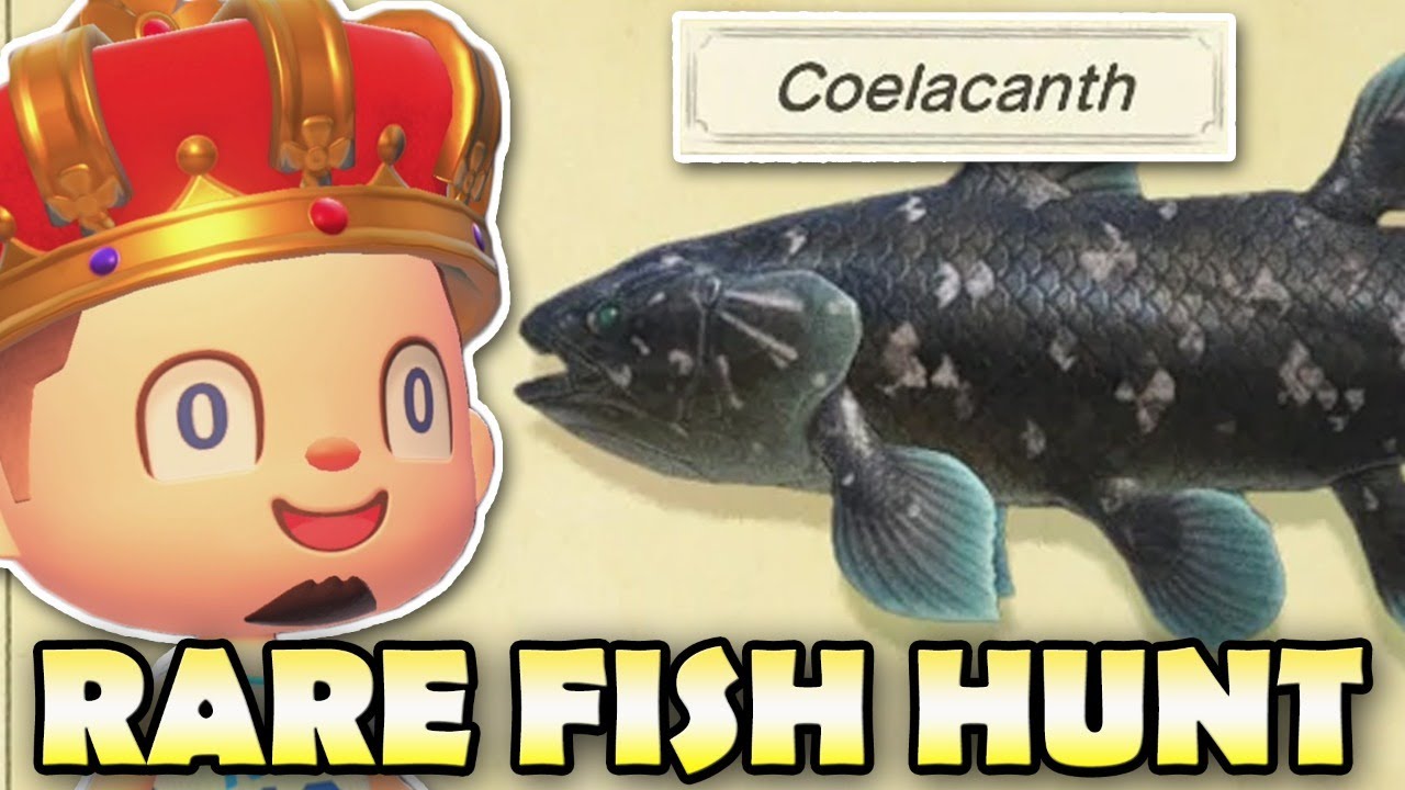 🐟 COELACANTH HUNT!  Animal Crossing New Horizons RARE FISH HUNT!