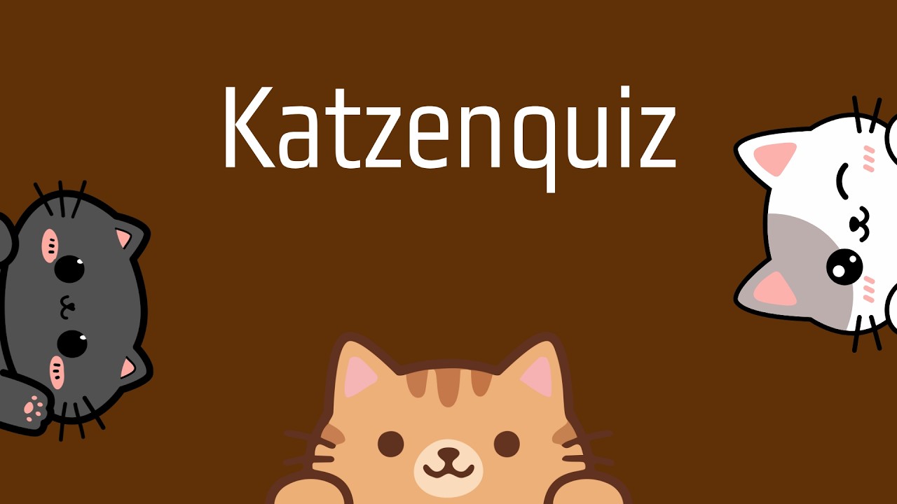 Wie gut kennst du deine Katze wirklich? | Katzenquiz | Teste dein Wissen über Katzen in diesem Quiz