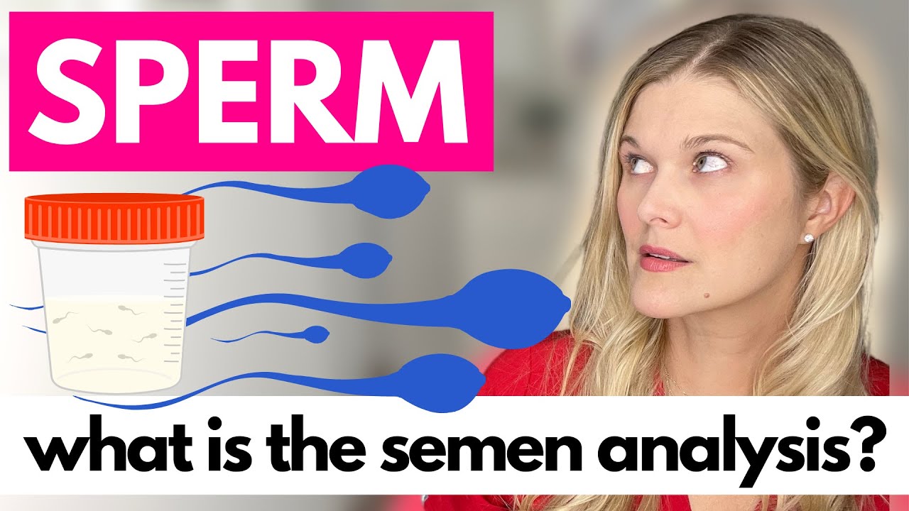 MALE FERTILITY: The Semen Analysis and Sperm