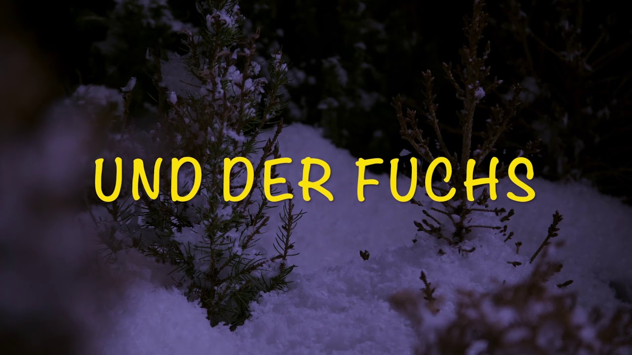 Tomte und der Fuchs