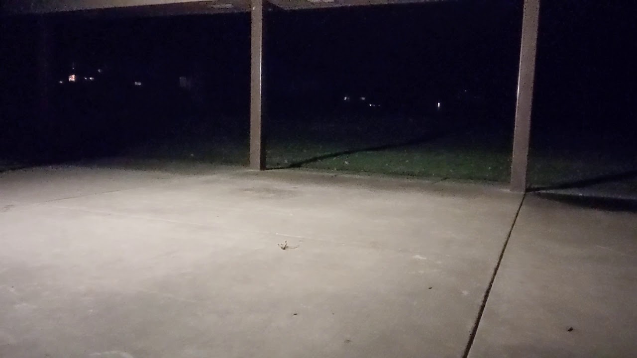 Loaded Overland Pogo