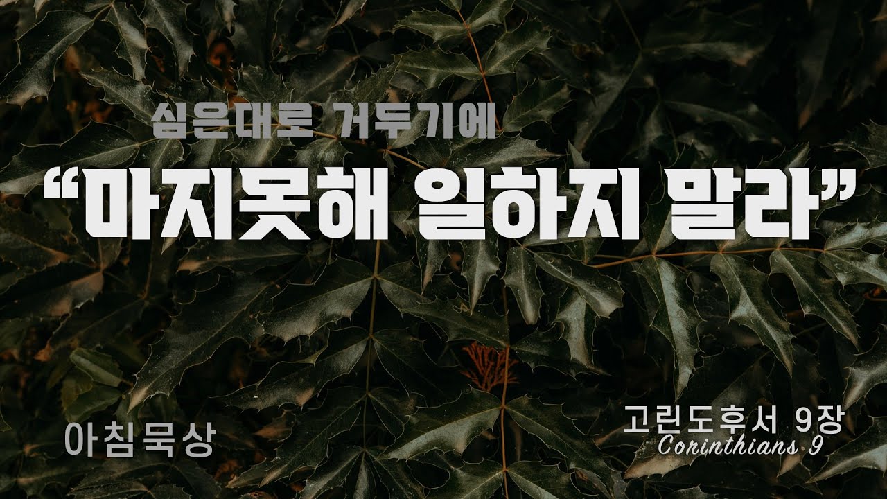 [고린도후서 묵상] 마지못해 일하지 말라 l 고후 9장