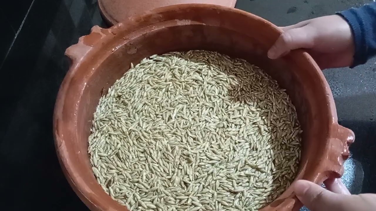 طريقه تحضير البندق بالشعير المجفف بالاعشاب اكل ودواء